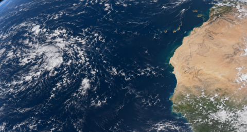 المركز الأميركي للأعاصير: موجة مدارية غرب موريتانيا