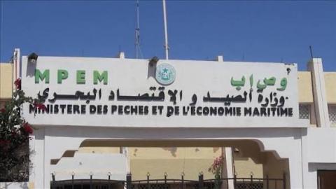المفتشية تكشف اختلالات مالية في وزارة الصيد بـ1.59 مليار أوقية