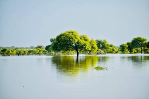 تساقطات مطرية متفاوتة على مناطق من البلاد (مقاييس)