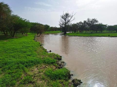 الأرصاد تتوقع أمطار في الجنوب والوسط وحرارة مرتفعة في الشمال