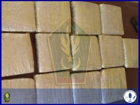 الدرك الوطني يعلن حجز 10 كيلوغرامات من القنب الهندي وإيقاف شخصين